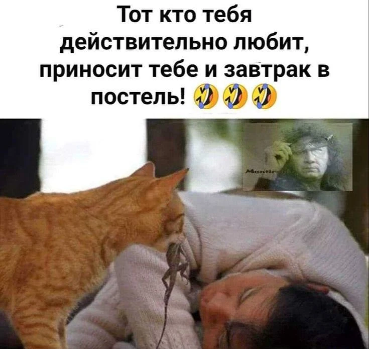 Спасибо, но не стоит 😹