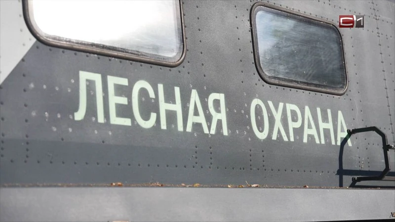 Авиалесоохрана Югры получила 42 млн рублей на борьбу с лесными пожарами