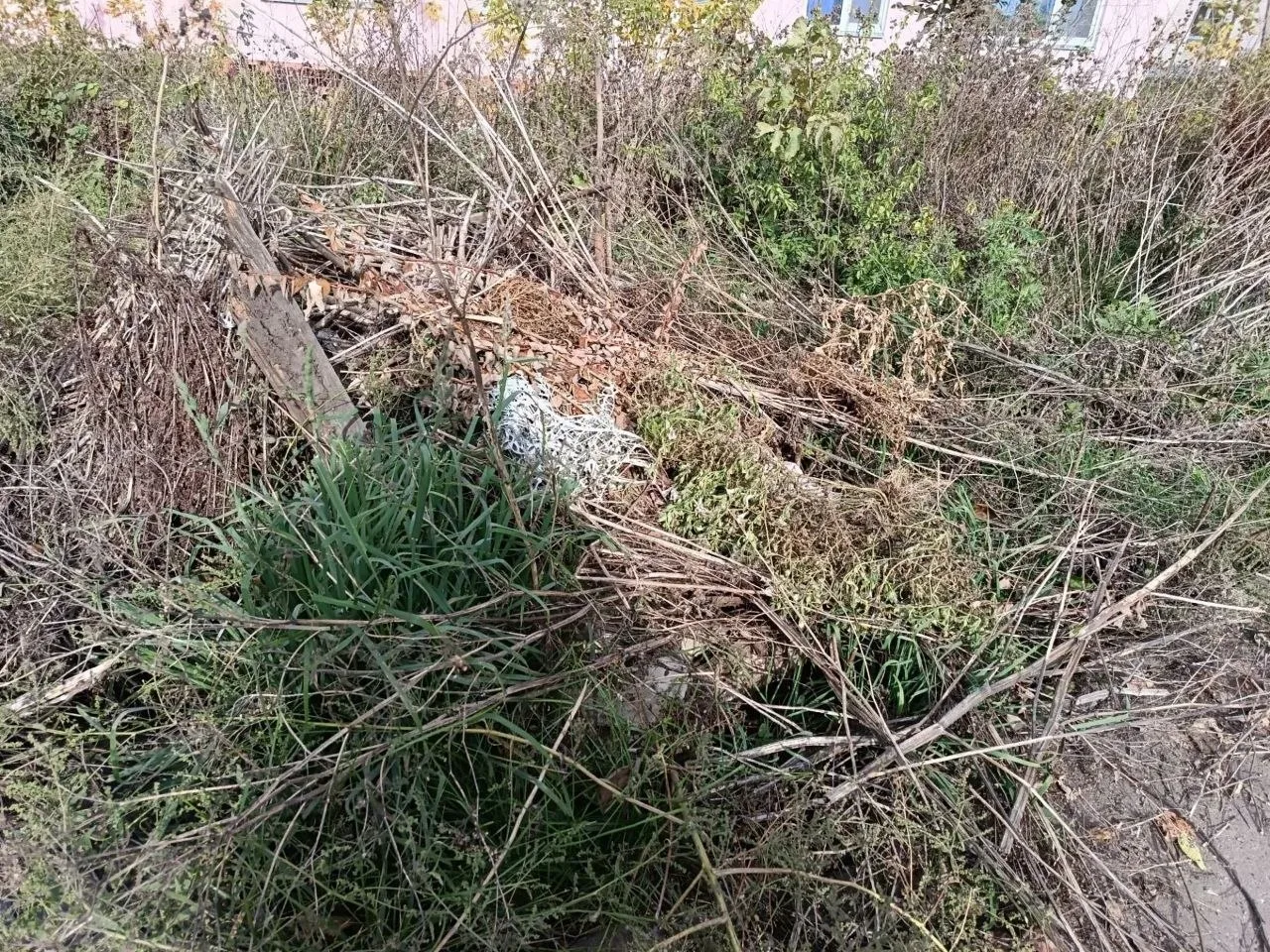 В Большом Афанасово просят содействия