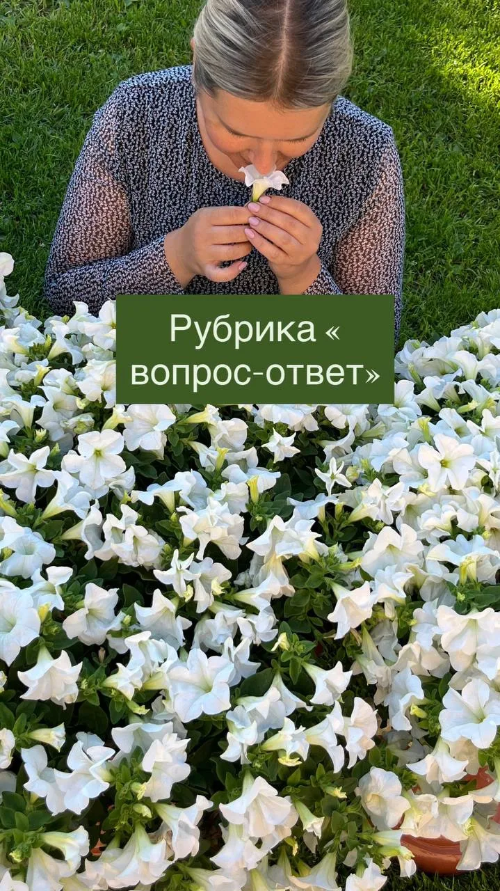 А давайте сегодня поболтаем.