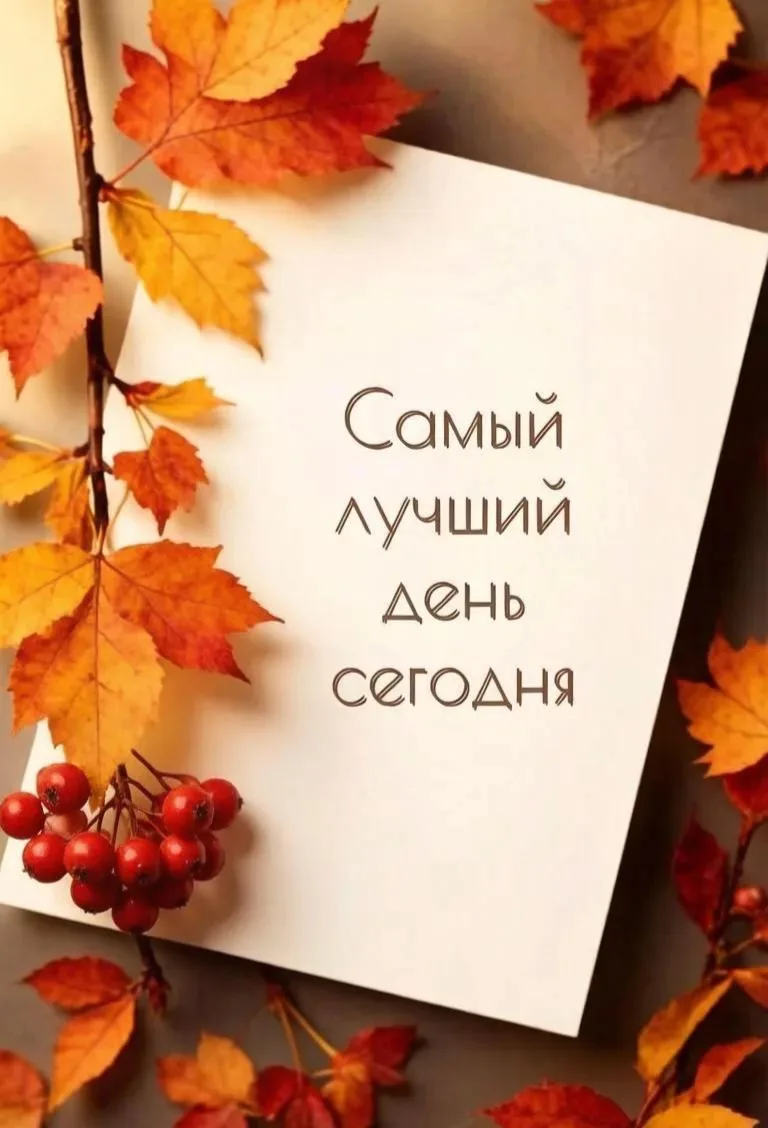 Добрый день, Адмиралтейский округ! 🌺