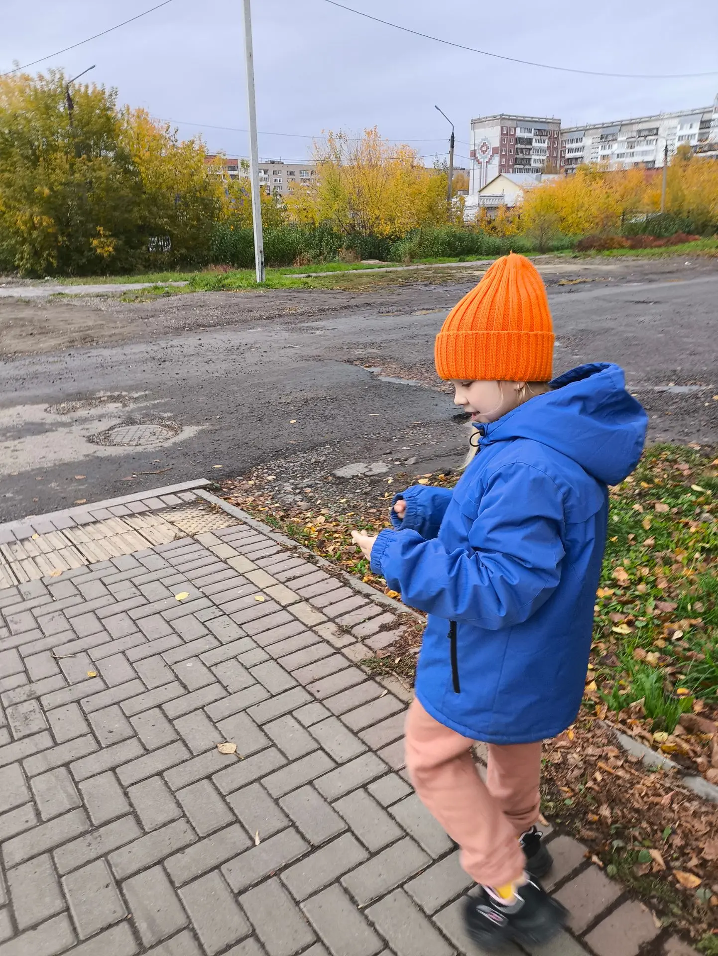 Осень золотая...🍂