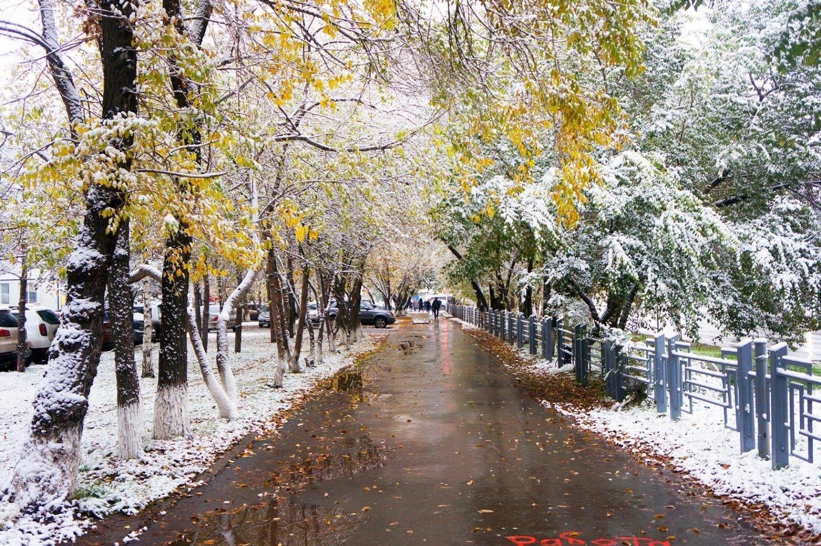 Первый снег в Москве выпадет уже 20 октября, — синоптики.