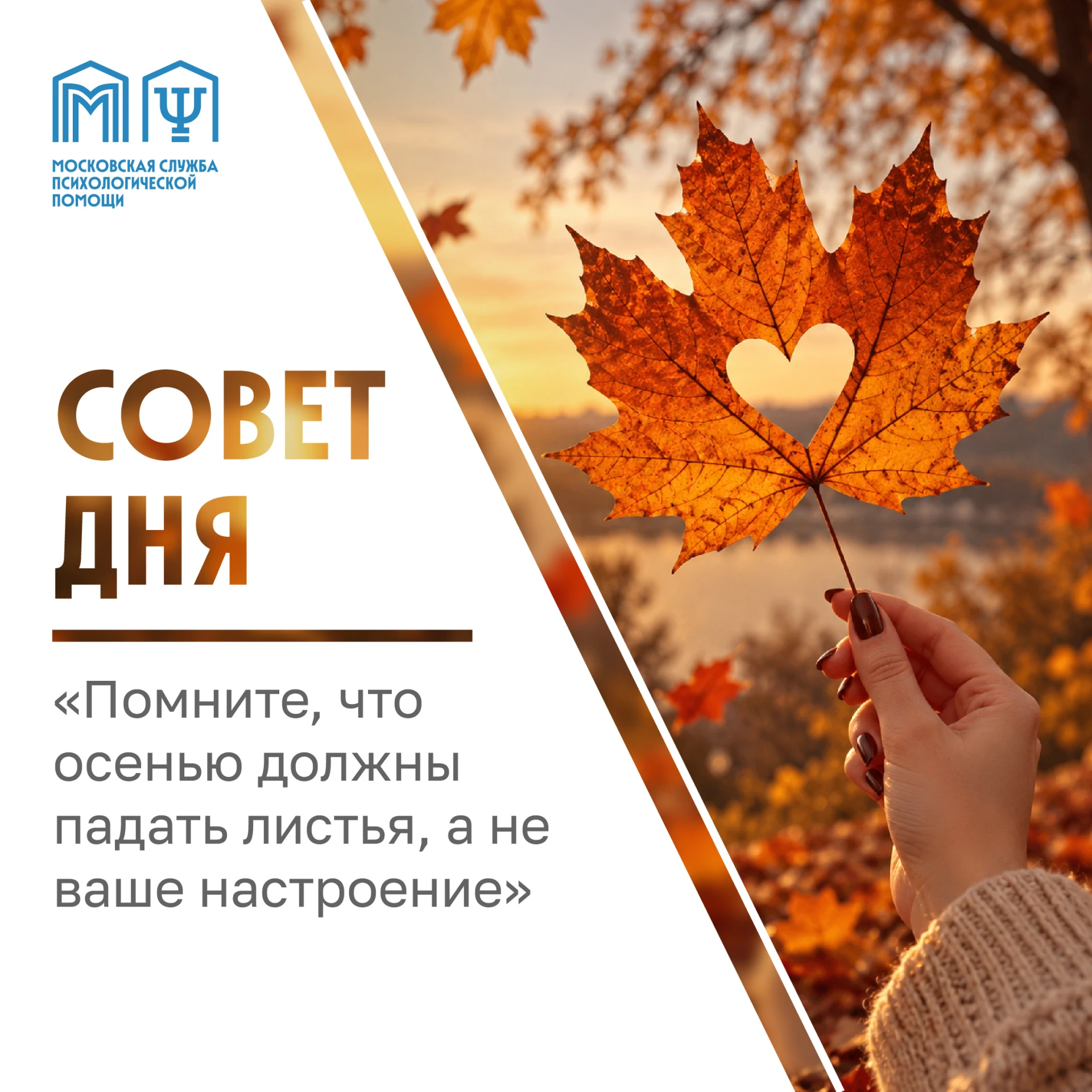 Помните, что осенью должны падать листья, а не ваше настроение 🍂