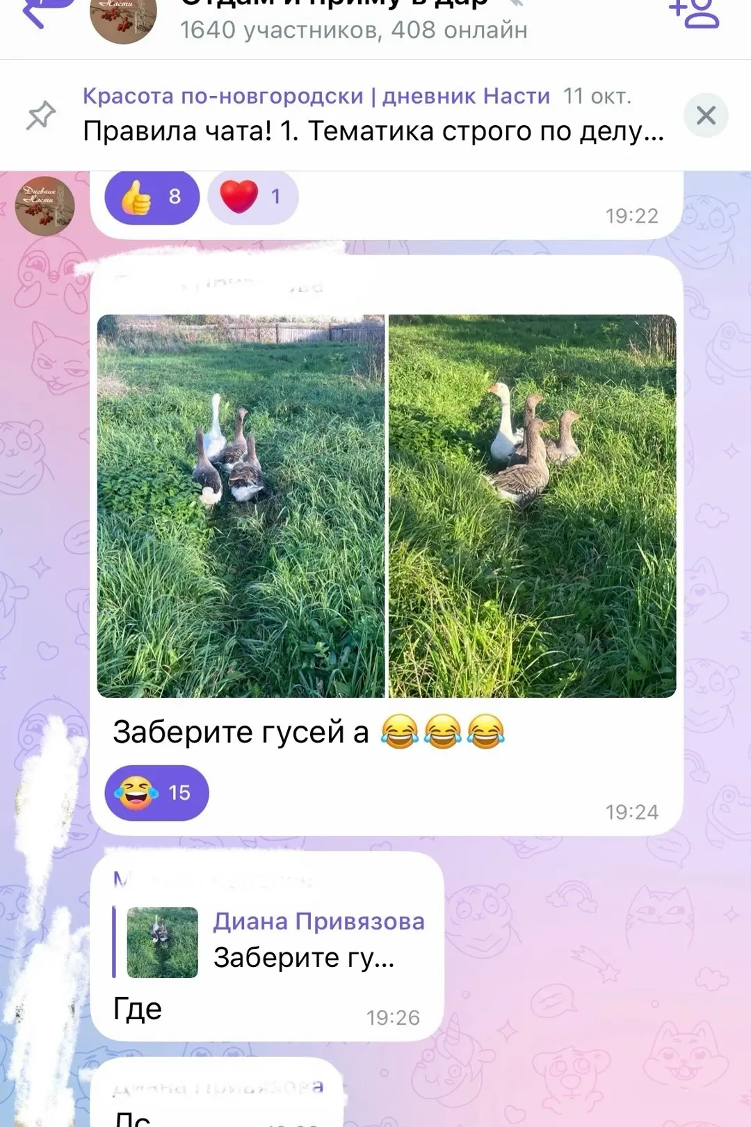 В нашем чате уже роздано более 1000 вещей! Но такого еще не видела 😍 Отдают гусей🪿 да...