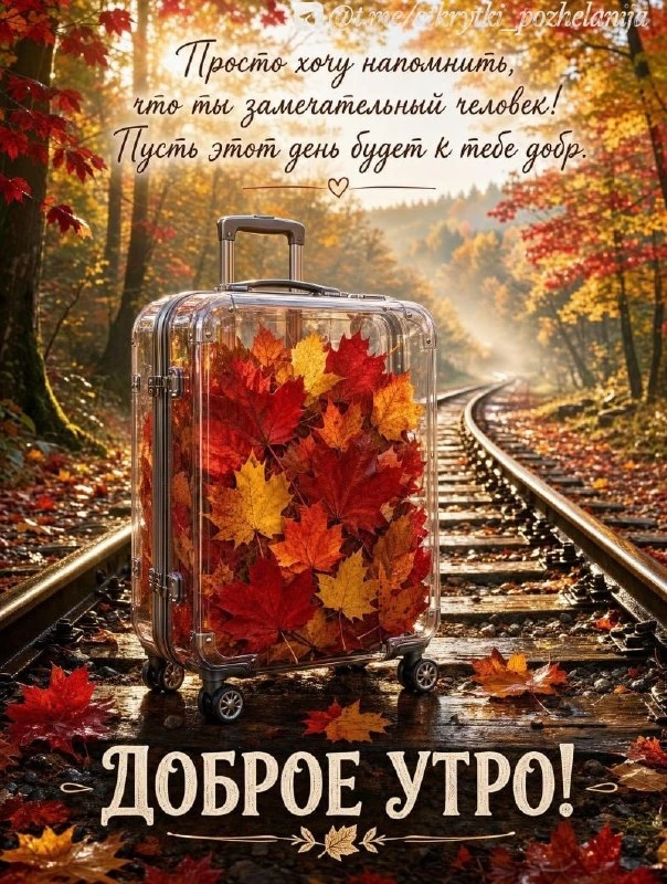 Открытки: подписаться ❤️