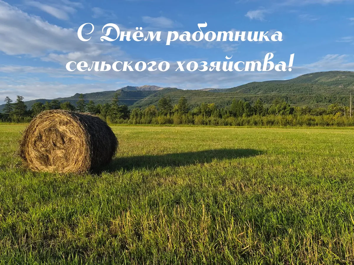 🌾 Уважаемые работники сельского хозяйства Усть-Камчатского округа! Поздравляем с профе...