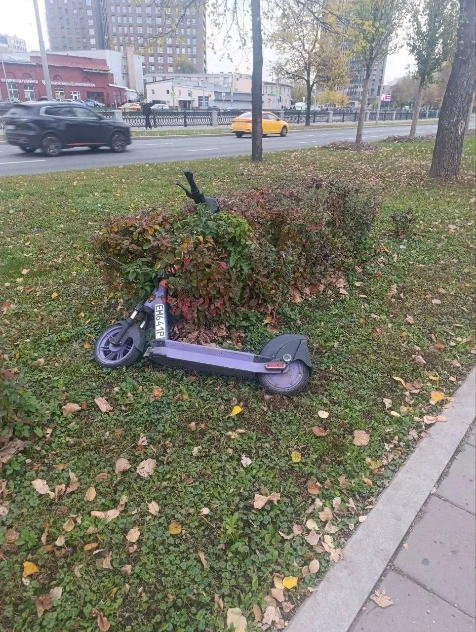 😁 Осенняя хандра добралась и до самокатов в Москве.