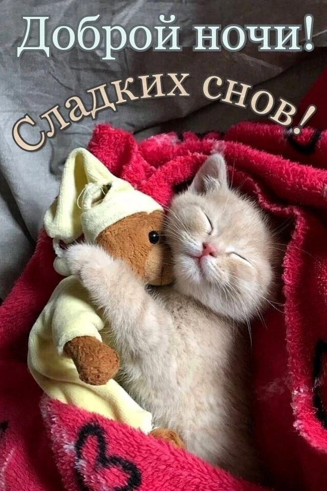 Красивые открытки❤️
