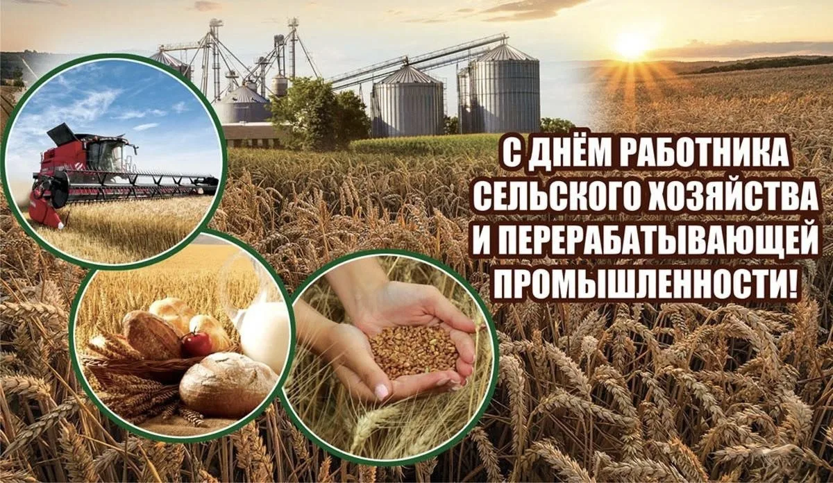 Дорогие друзья!