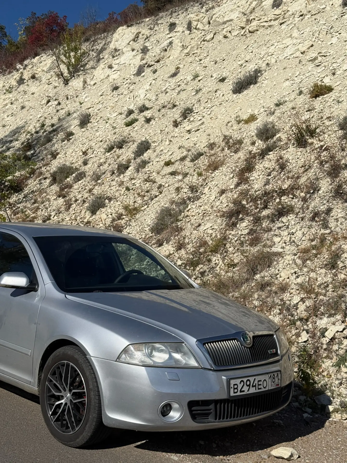 Skoda Octavia A5 VRS 2008🚗