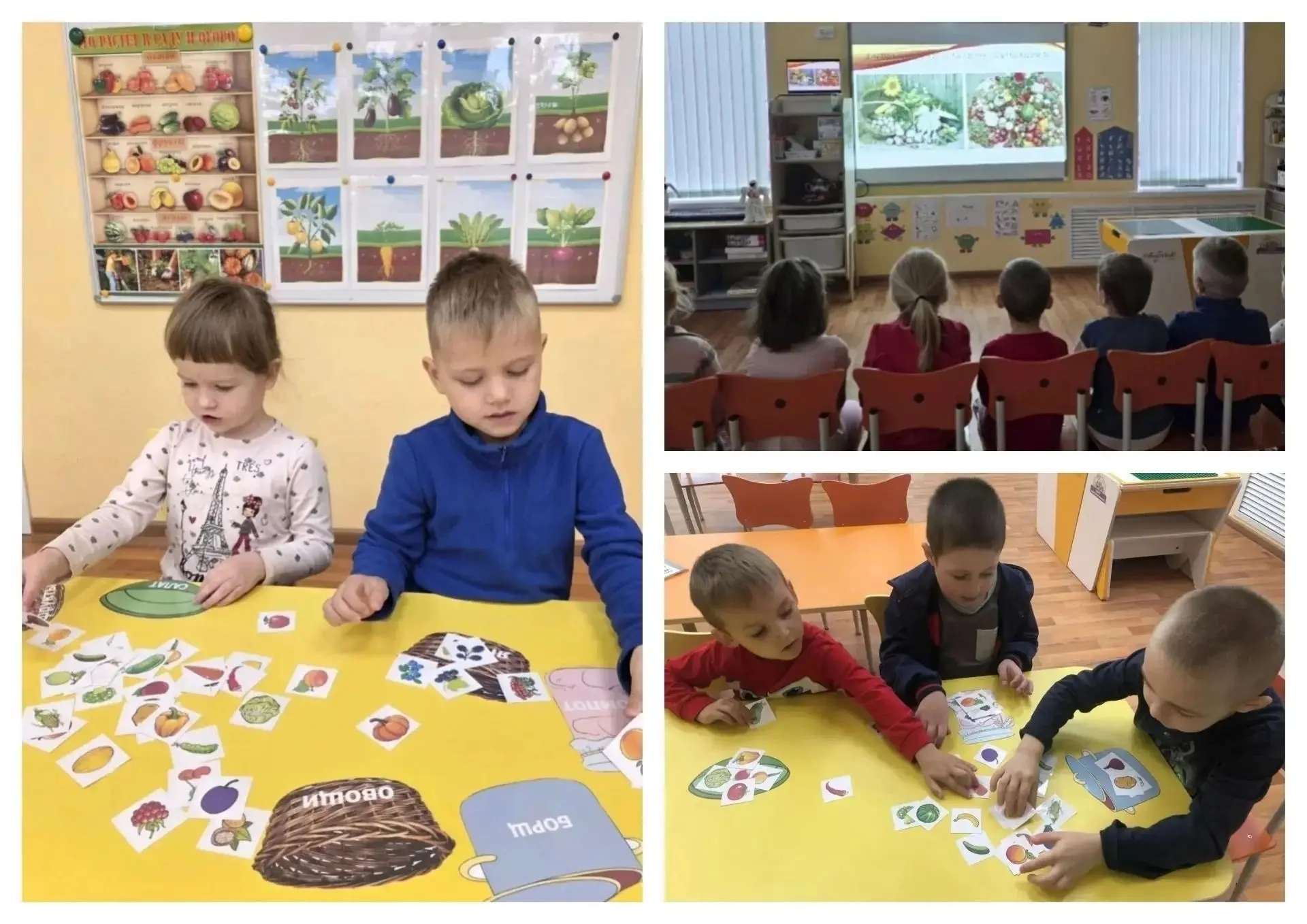 🍅🥒🍎 На этой неделе воспитанники разновозрастной группы «Василёк» совершали увлекател...