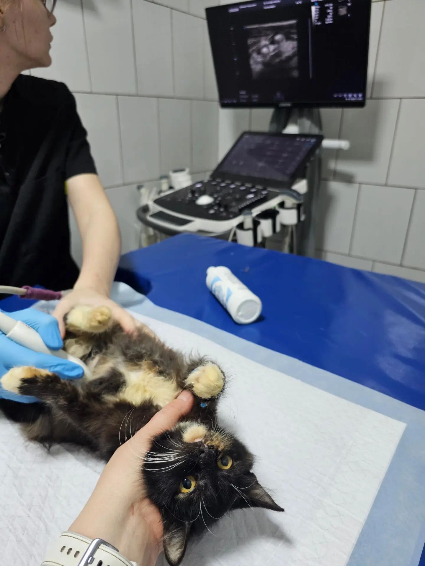 Сделали еще для подстраховки одно в другом месте и кровь сдали