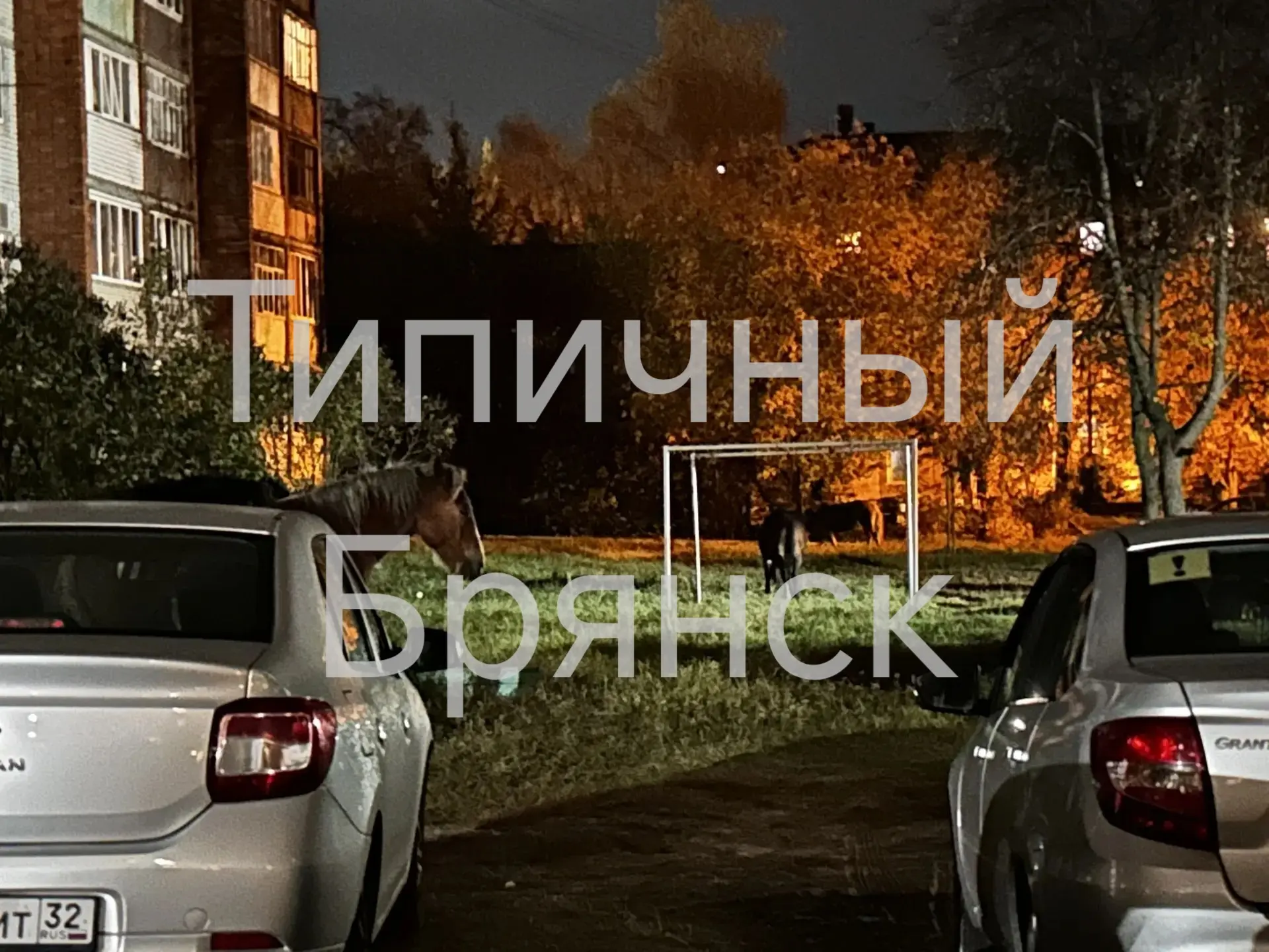 Нам пишут: Никогда не знаешь, кто заглянет в окно утром