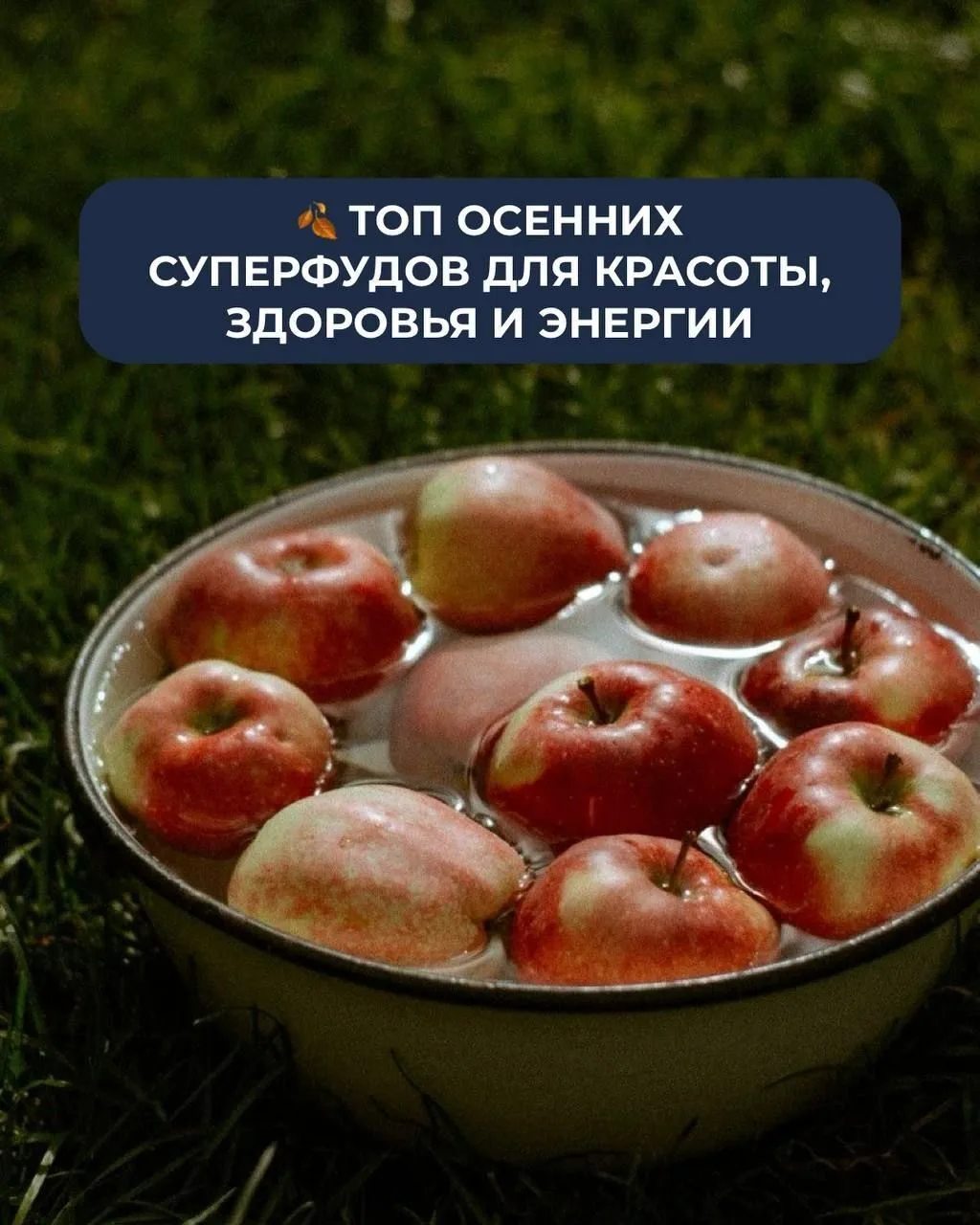 ТОП ОСЕННИХ СУПЕРФУДОВ 🍂