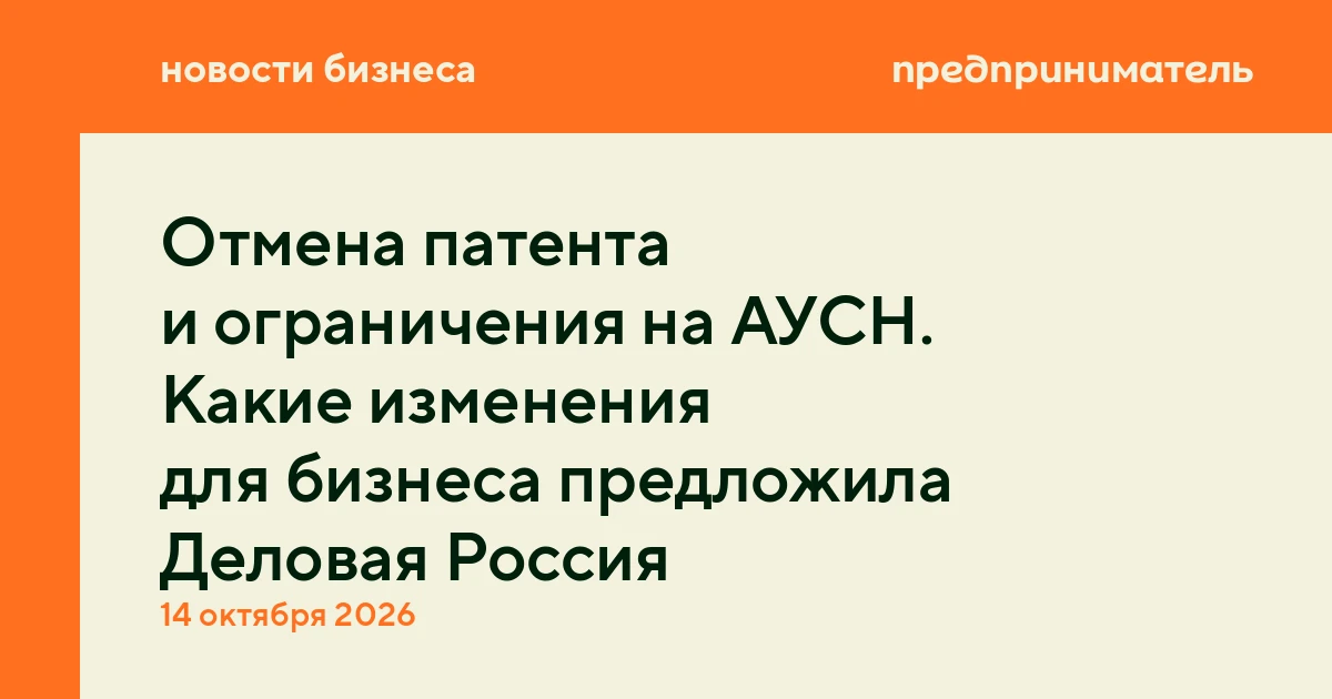 Отмена патента и ограничения на АУСН. Какие изменения для бизнеса предложила Деловая Ро...