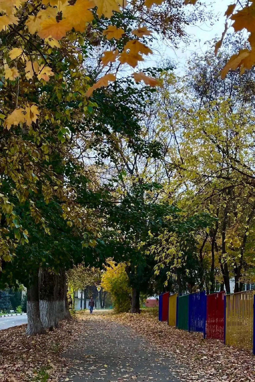 Здравствуй, Кашира, и приветствую вас в этой великолепной осени! 🍂