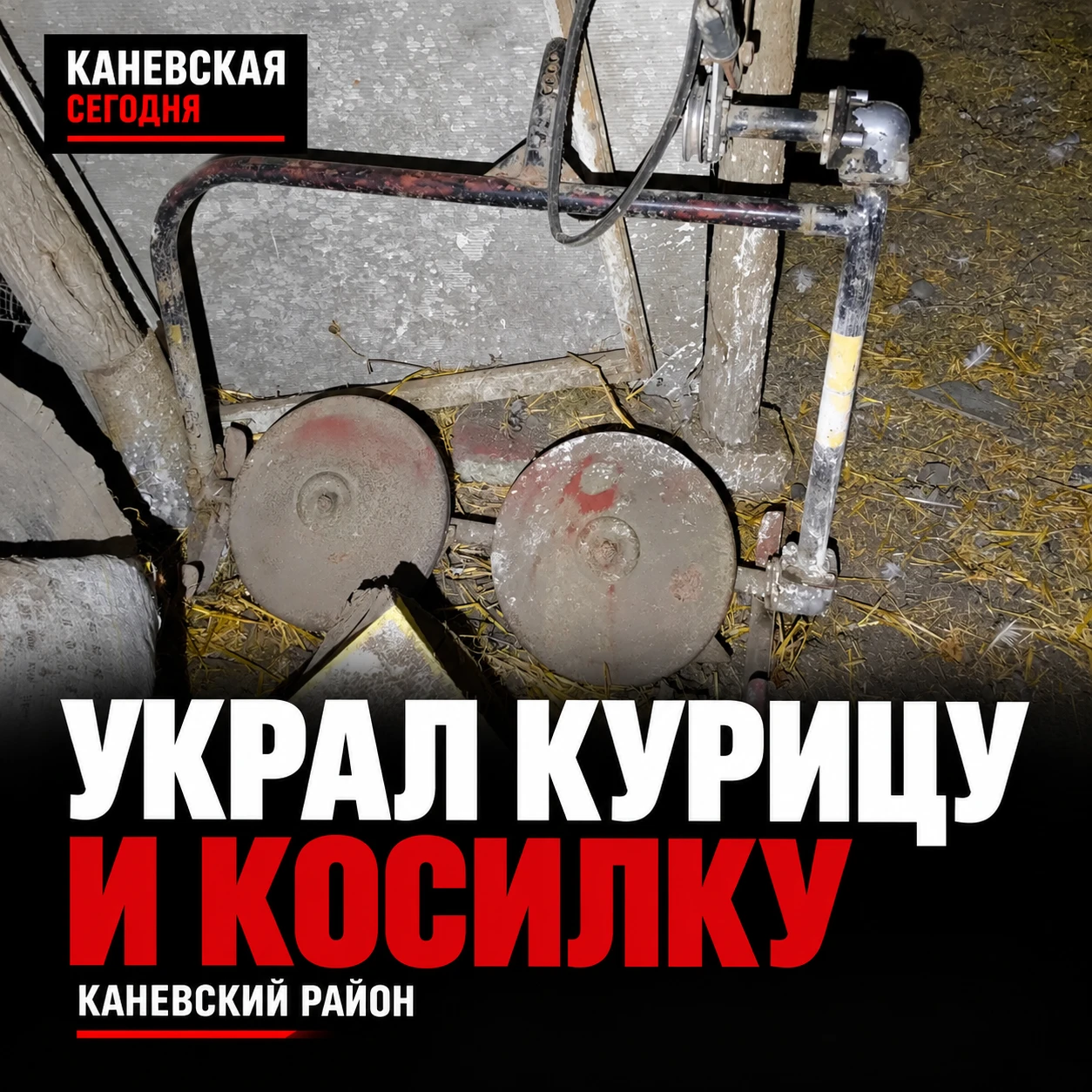 🐔 В Каневском районе мужчина украл курицу, съел её и попался на краже косилки