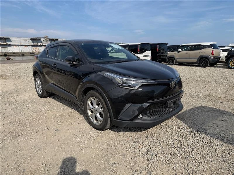 Toyota C-HR 2019 г.в. #chr