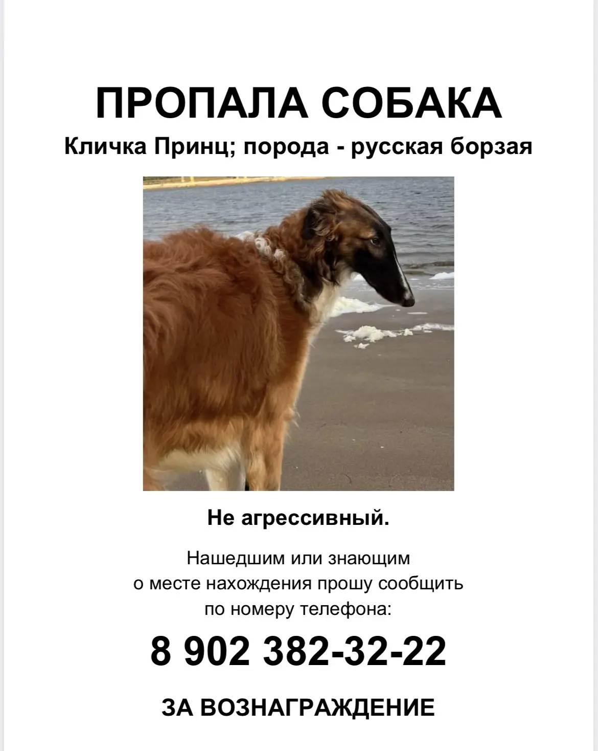 В хуторе Бобры в  10.10 в районе 6:00 потерялась собака, любимец семьи! Очень переживае...