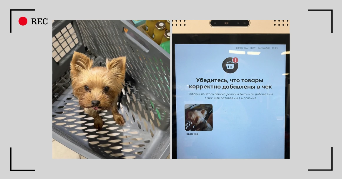 Самокасса в «Пятерочке» приняла собаку в тележке за выпечку