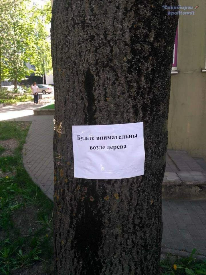 Сохраняем бдительность, камрады👀