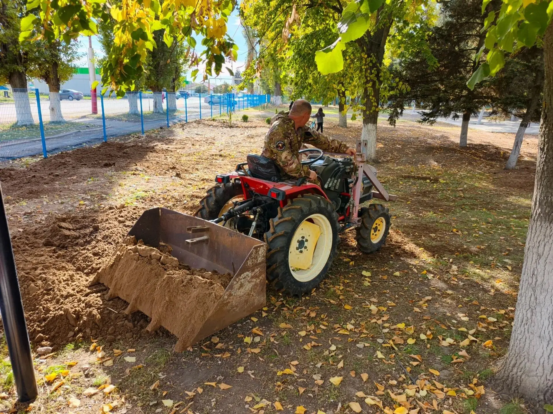 🌳 Школьная акция «Зелёный аттестат роста»: в эфире новости: