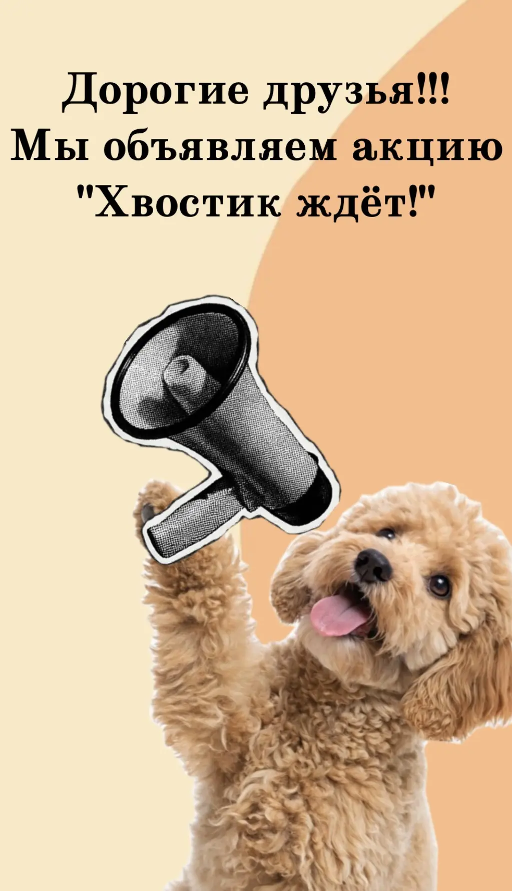 🎉 Объявляем добрую акцию «Хвостик ждёт!» 🎉