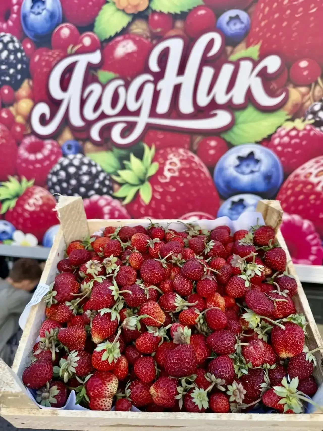 Регулярные поставки  🍓клубники 2х сортов,фруктов, черешни,малины, ежевики,голубики🍒🍑...