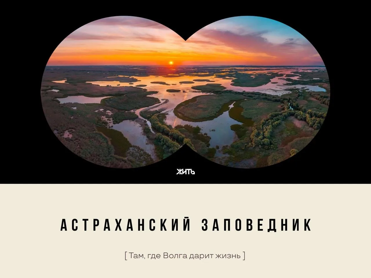 Розовые закаты, бескрайние заросли камыша и птицы, размах крыльев которых поражает вооб...