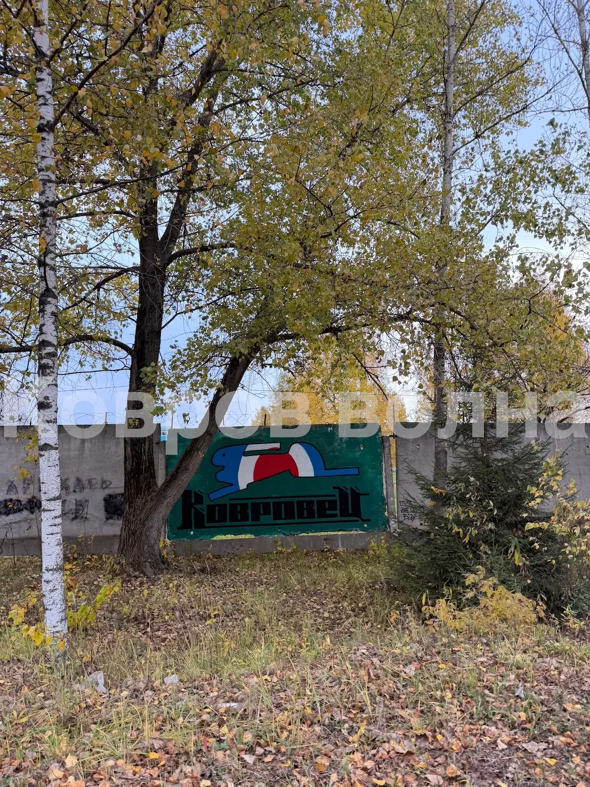 Ещё одно граффити в городе 😍🔎. На Муромской забор теперь украшает заяц.