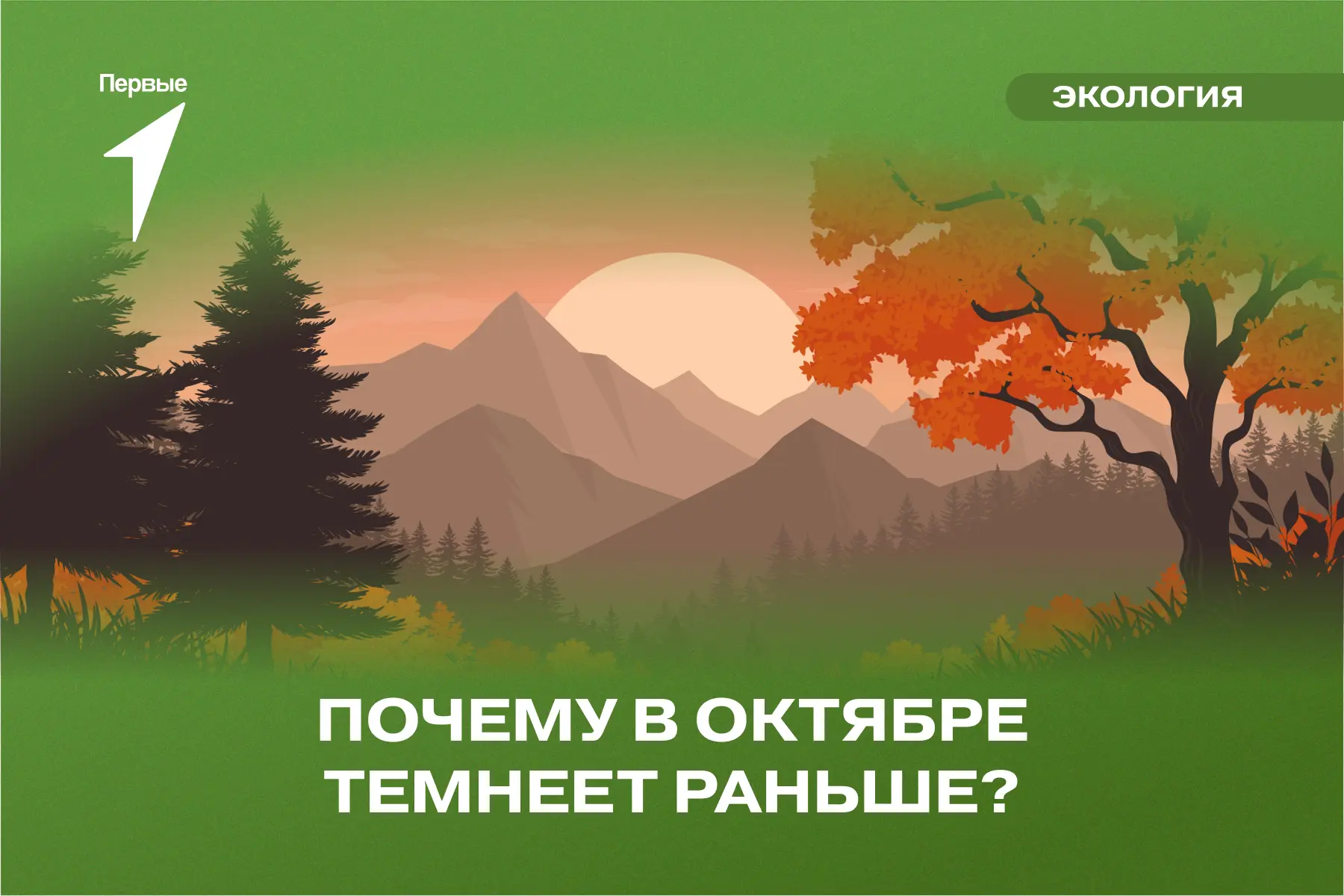 🍂 Идея для юннатского наблюдения!