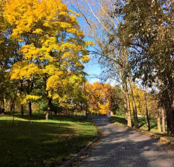 🍂 Любимый парк у пруда Бекет