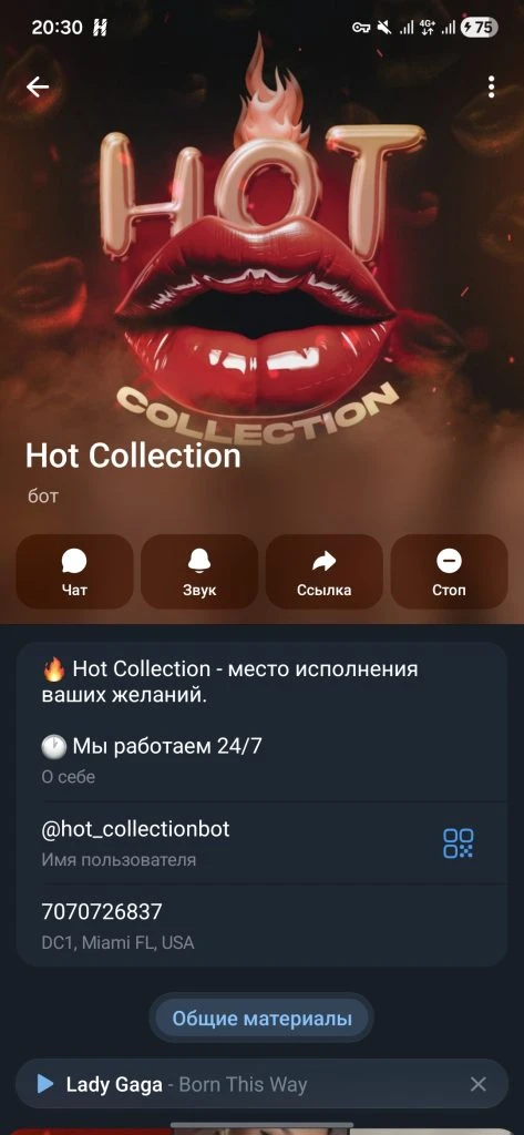 Как обманет бот якобы эскорта Hot Collection