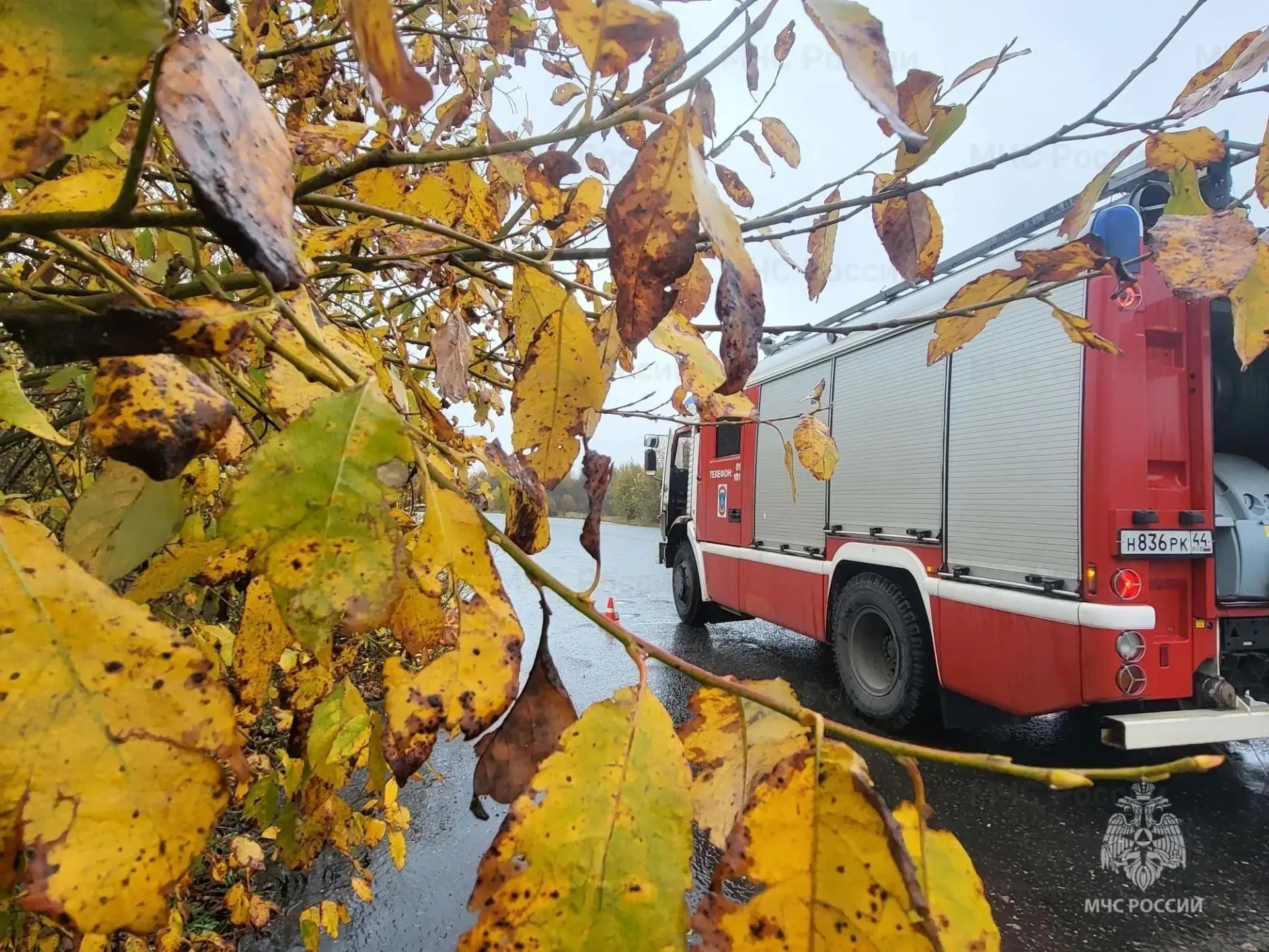 Три человека пострадали при пожарах за неделю в Костромской области. Всего в регионе за...