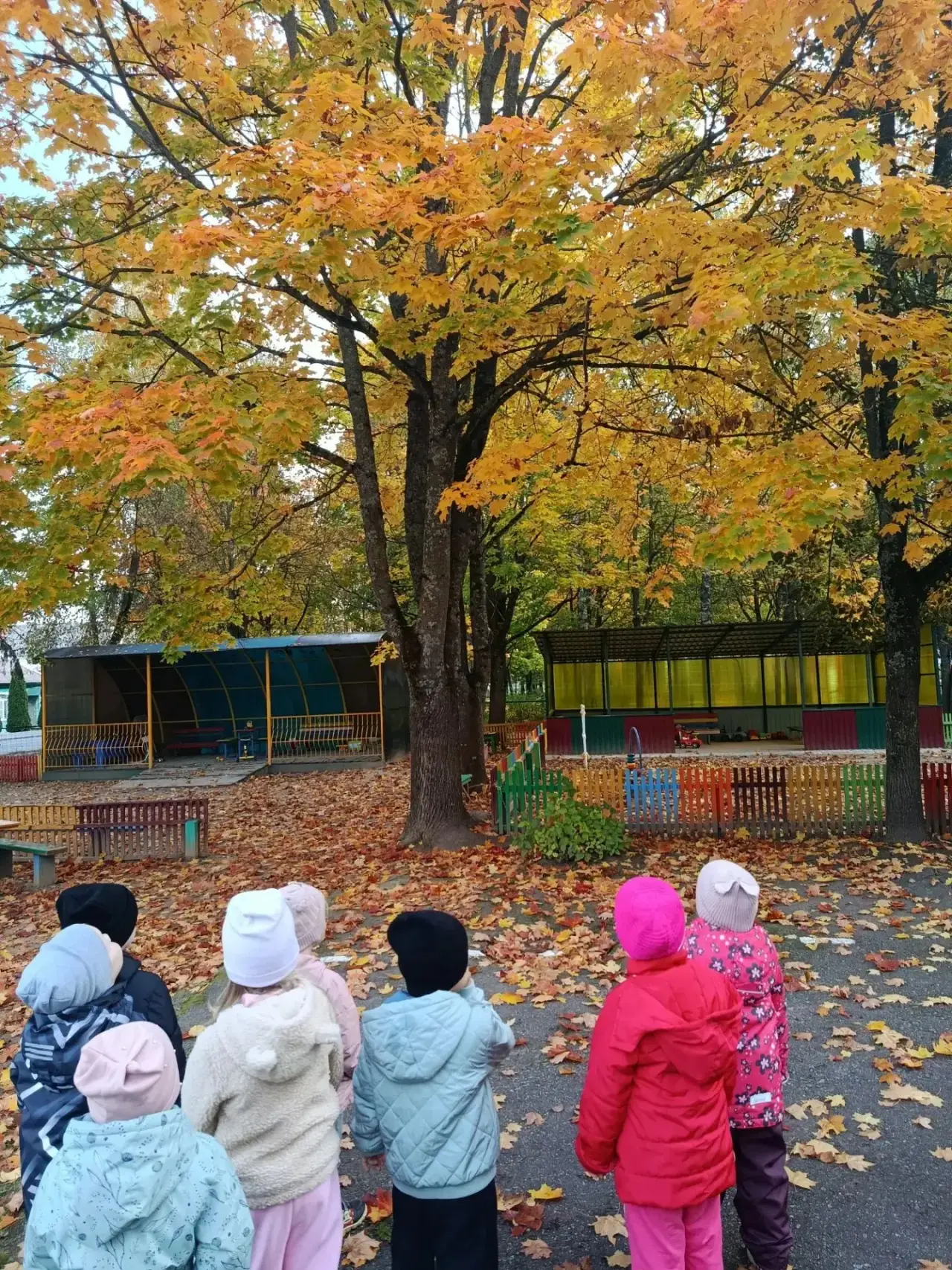 В средней группе прошла замечательная осенняя прогулка! 🍂🍁