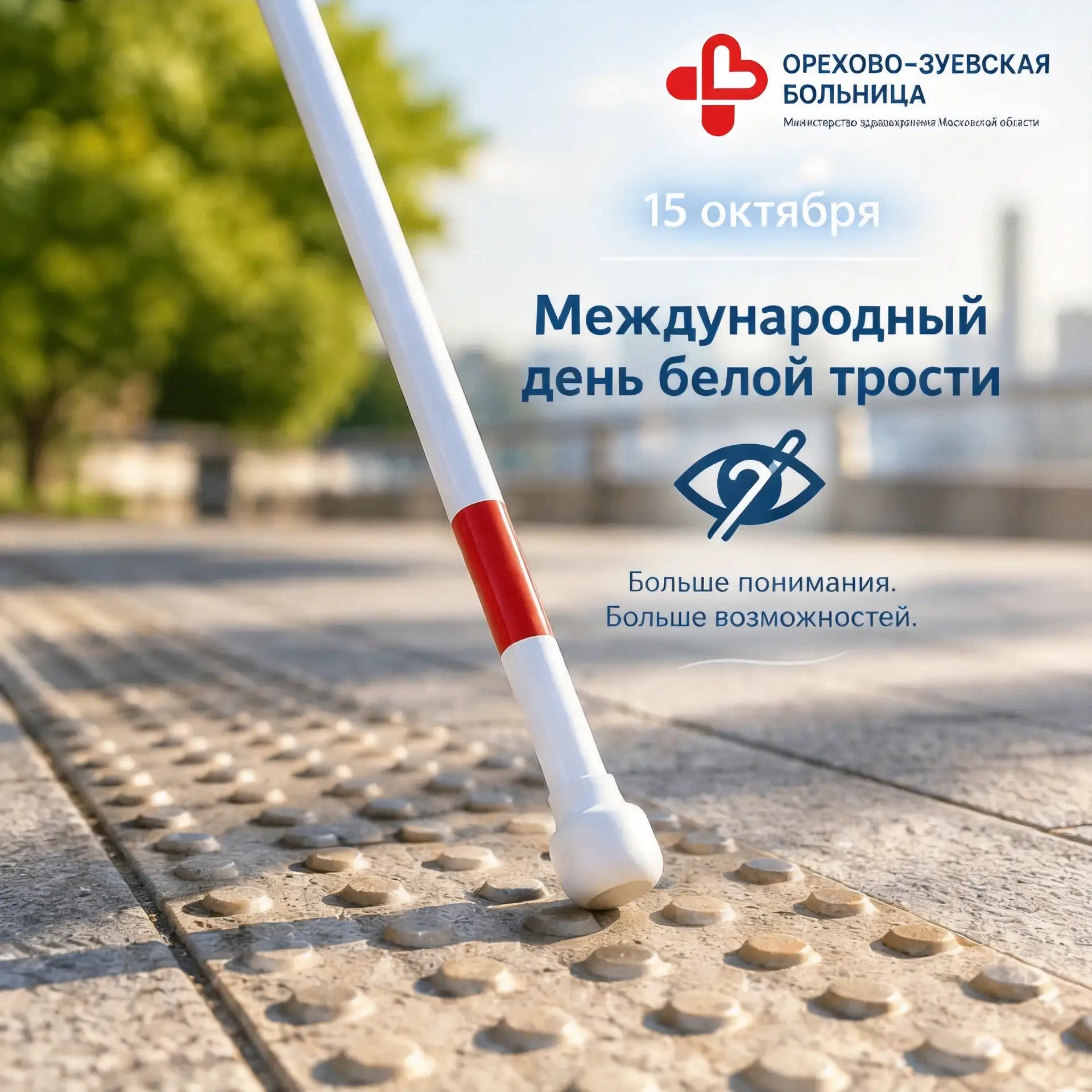 🤍 15 октября — Международный день белой трости!