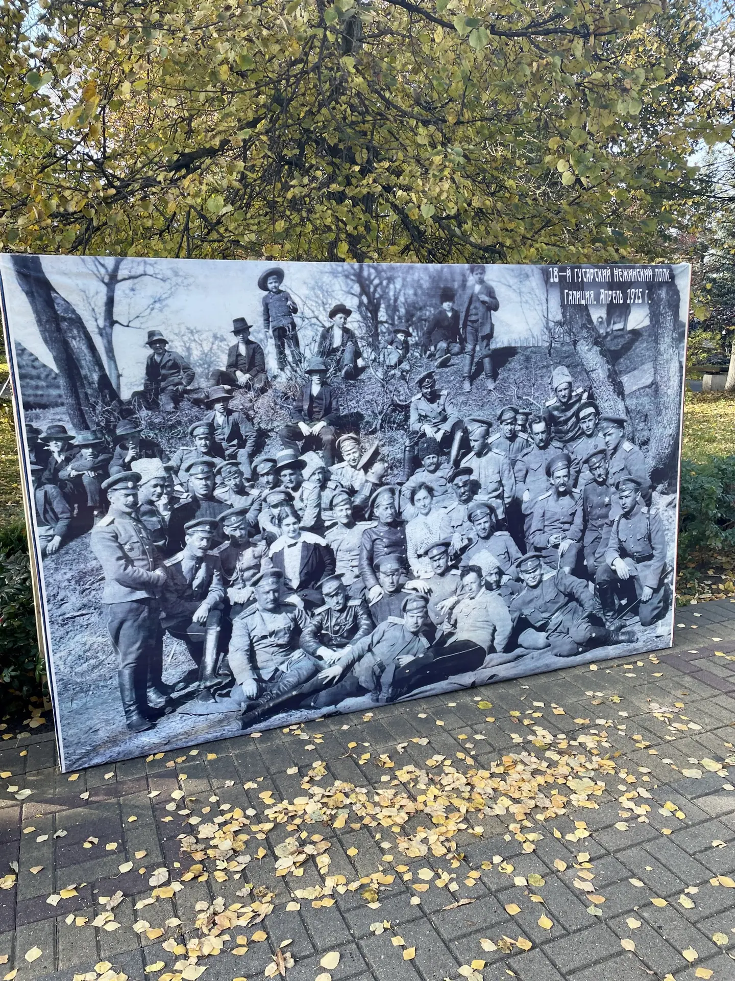 ⚔️Фестиваль «В гостях у Нежинских гусар»  в Ельце!