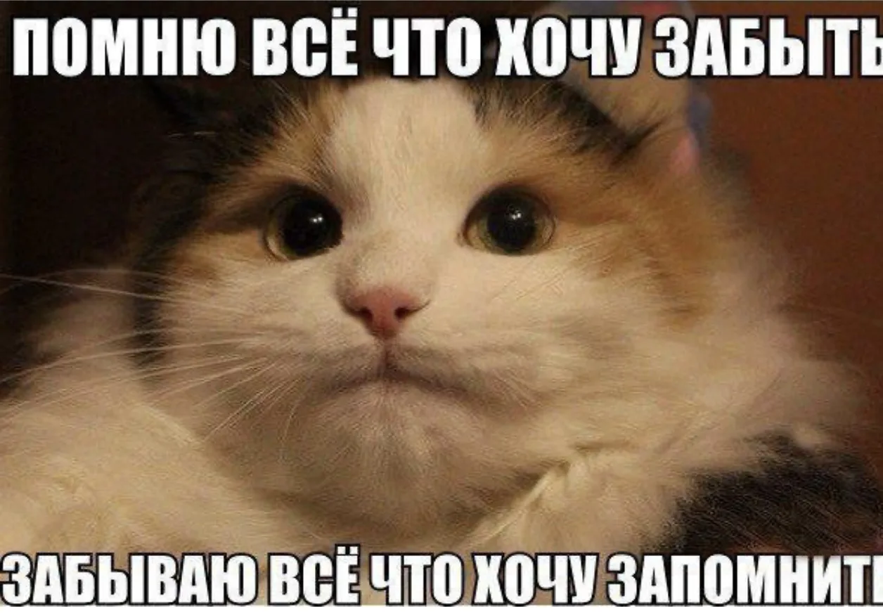 😳 Почему после 45 лет голова начинает «подводить», а мысли рассеиваются?