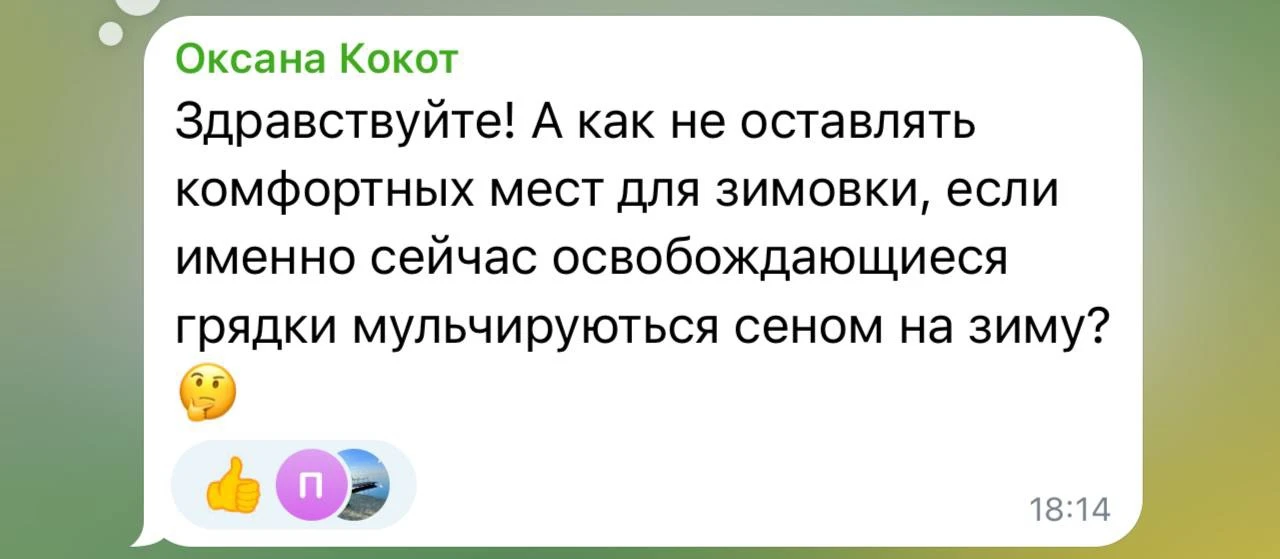 🐌 Мульчируем грядки на зиму, а не устроим ли мы улиткам гостиницу?