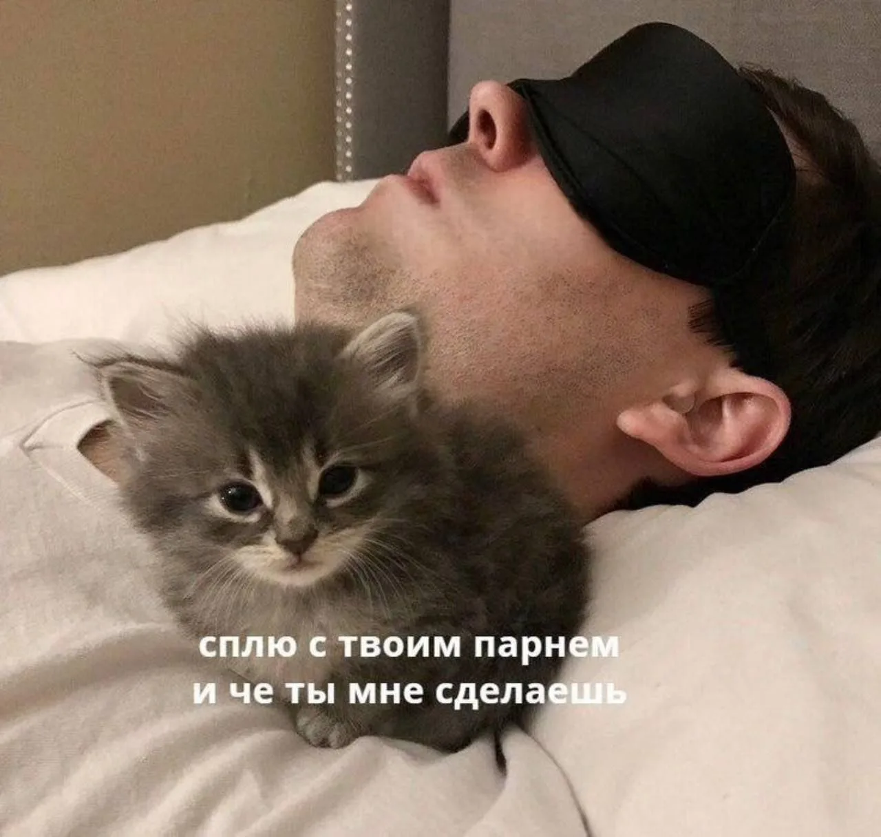 Всем доброй ночи❤️