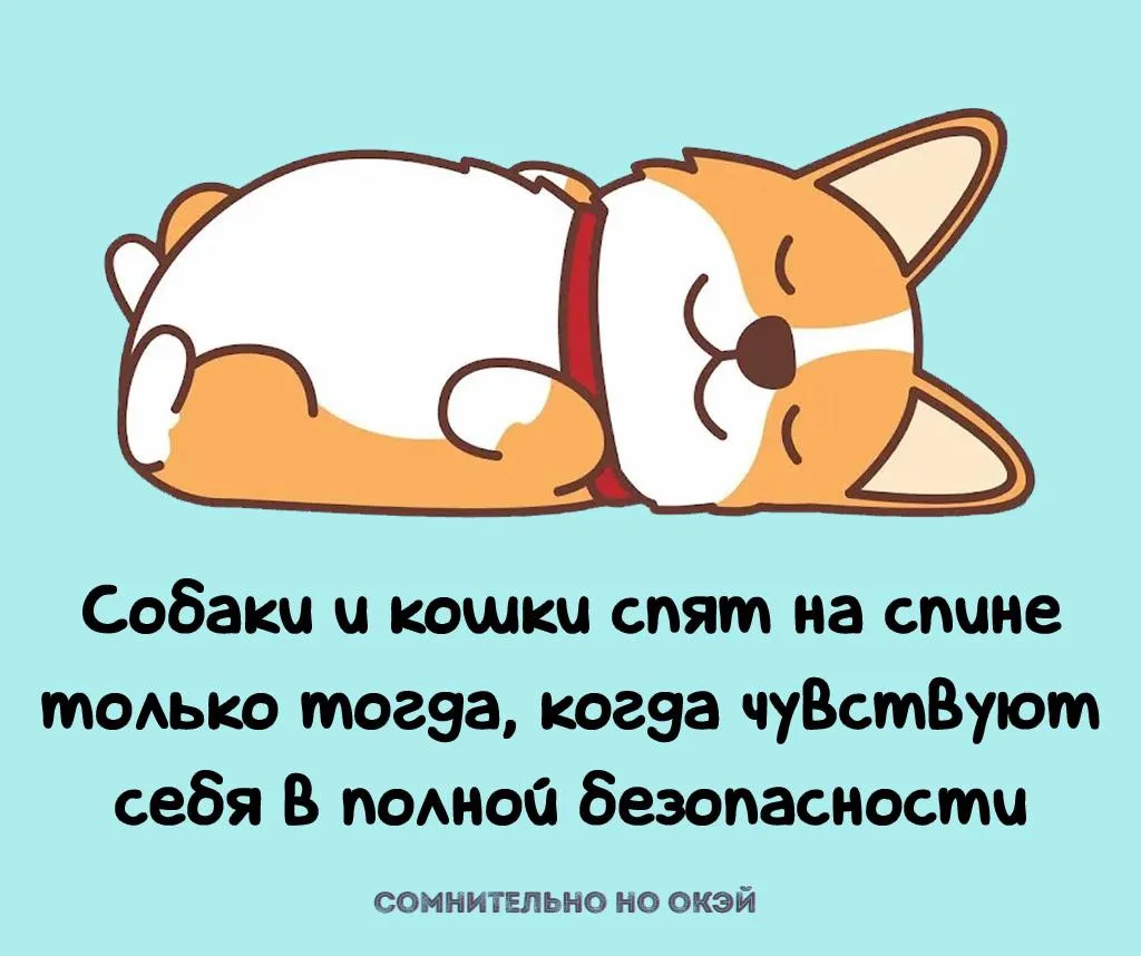 Признавайтесь, знали?