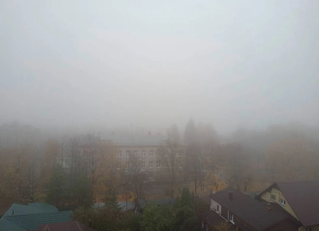 Туманное утро 💨