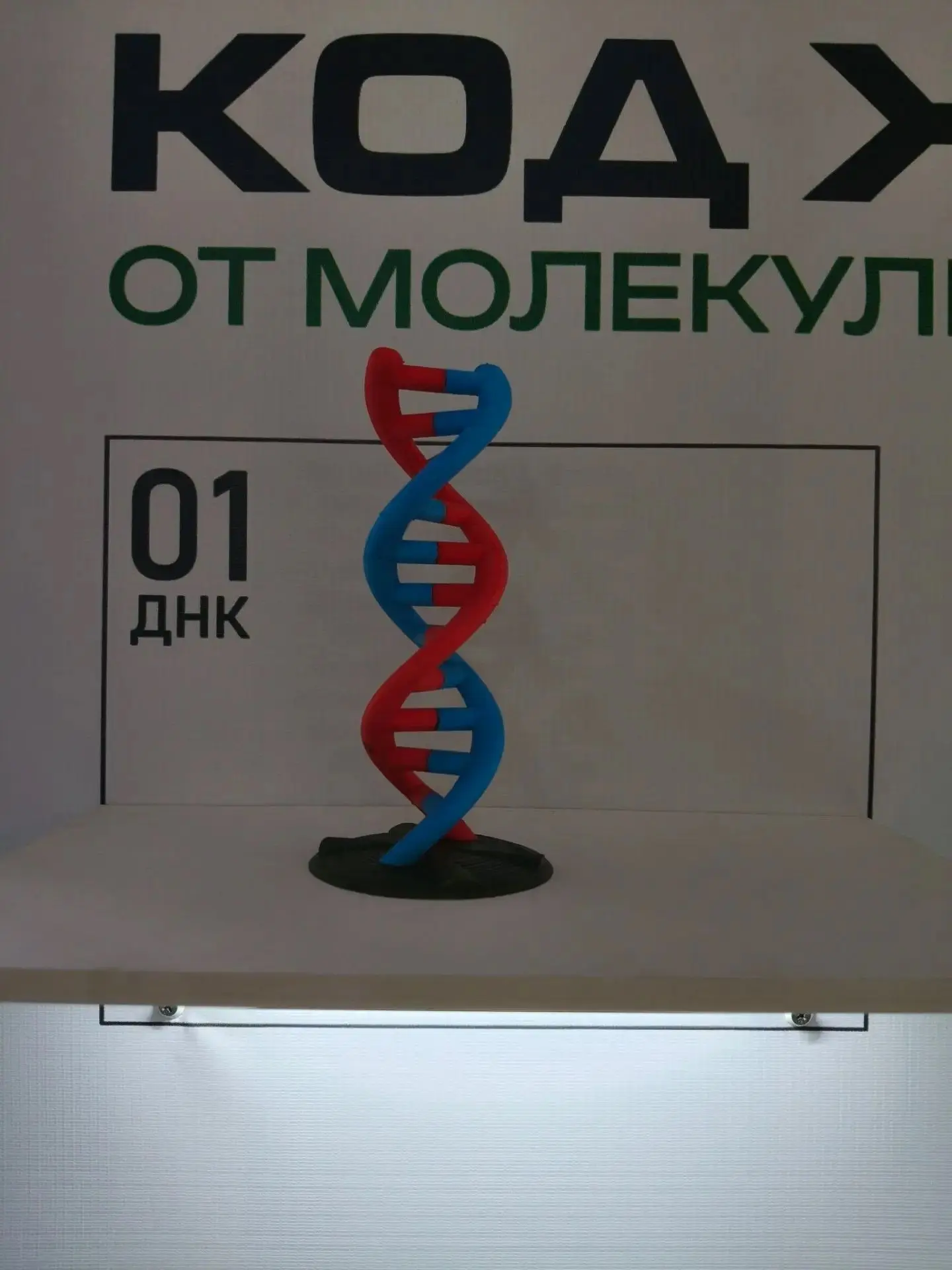 — Всем привет. Я Нуштайкин Анатолий, ученик 9 "Б" класса посетил фестиваль «БиоТех» на ...
