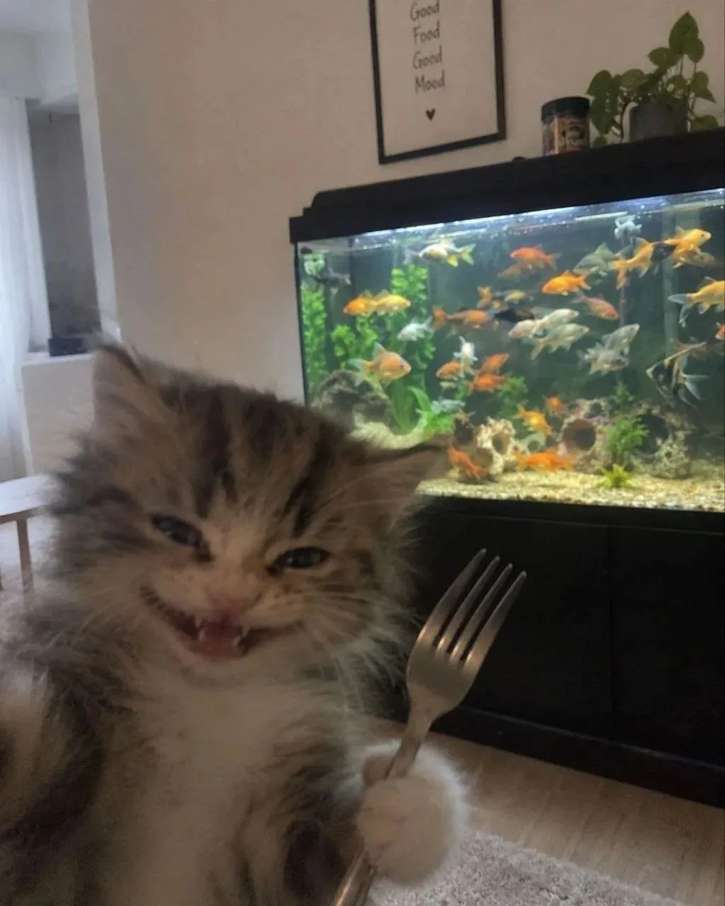 Четверговое рыбовое подкралось 😋