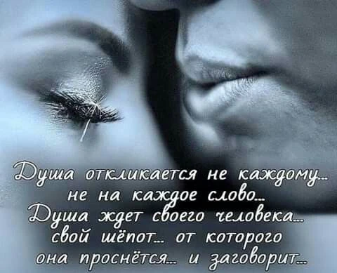 Родные души... Много ль их на свете?
