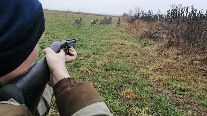 🦌 Выстрел в кусты оказался смертельным: новые детали ЧП в Упоровском районе и жуткие а...