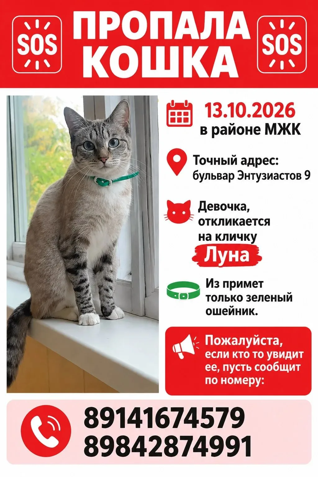 Здравствуйте помогите пожалуйста найти кошку. Пропала сегодня 13.10.2026 в районе МЖК б...