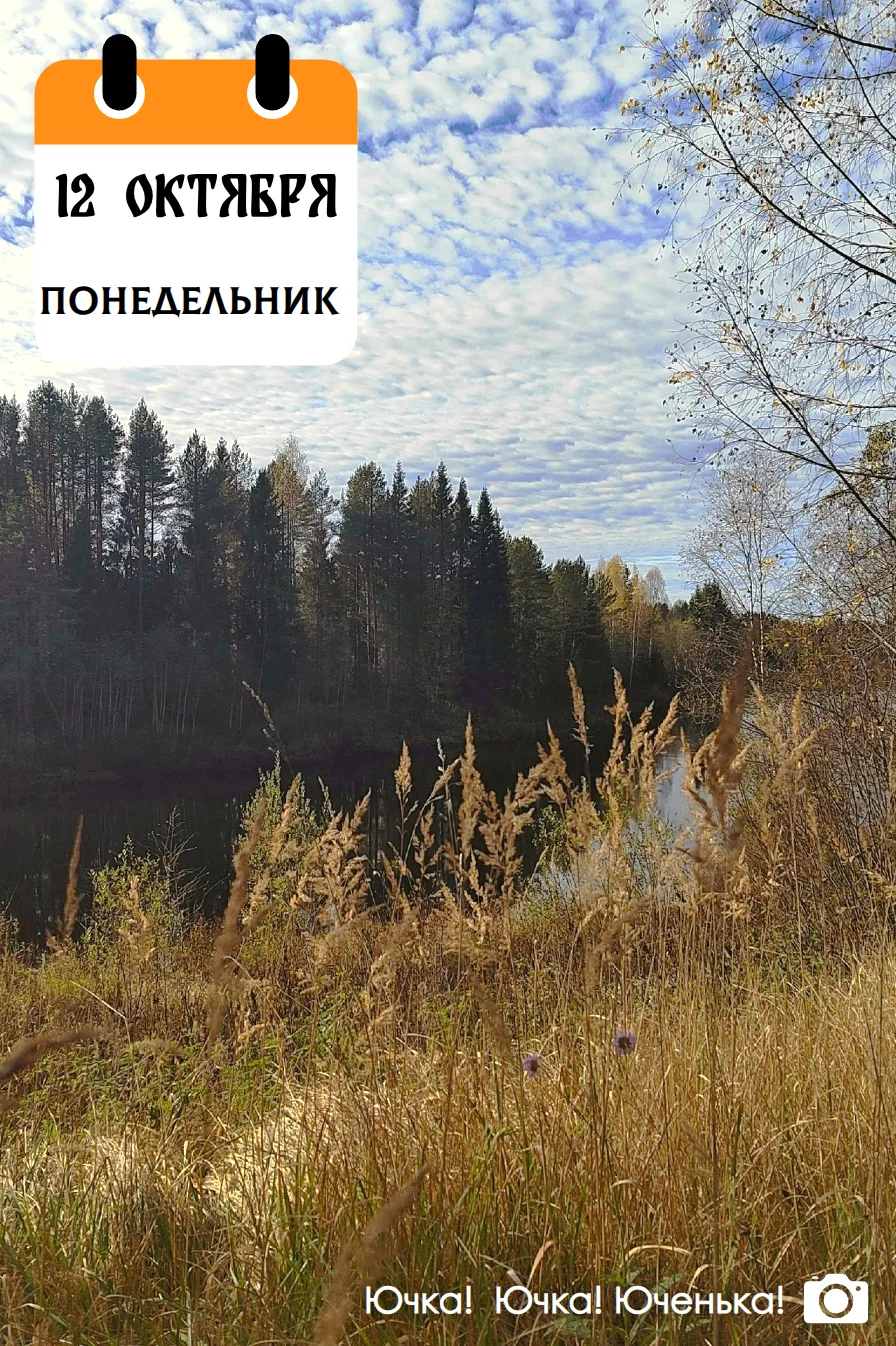 Доброе утро!