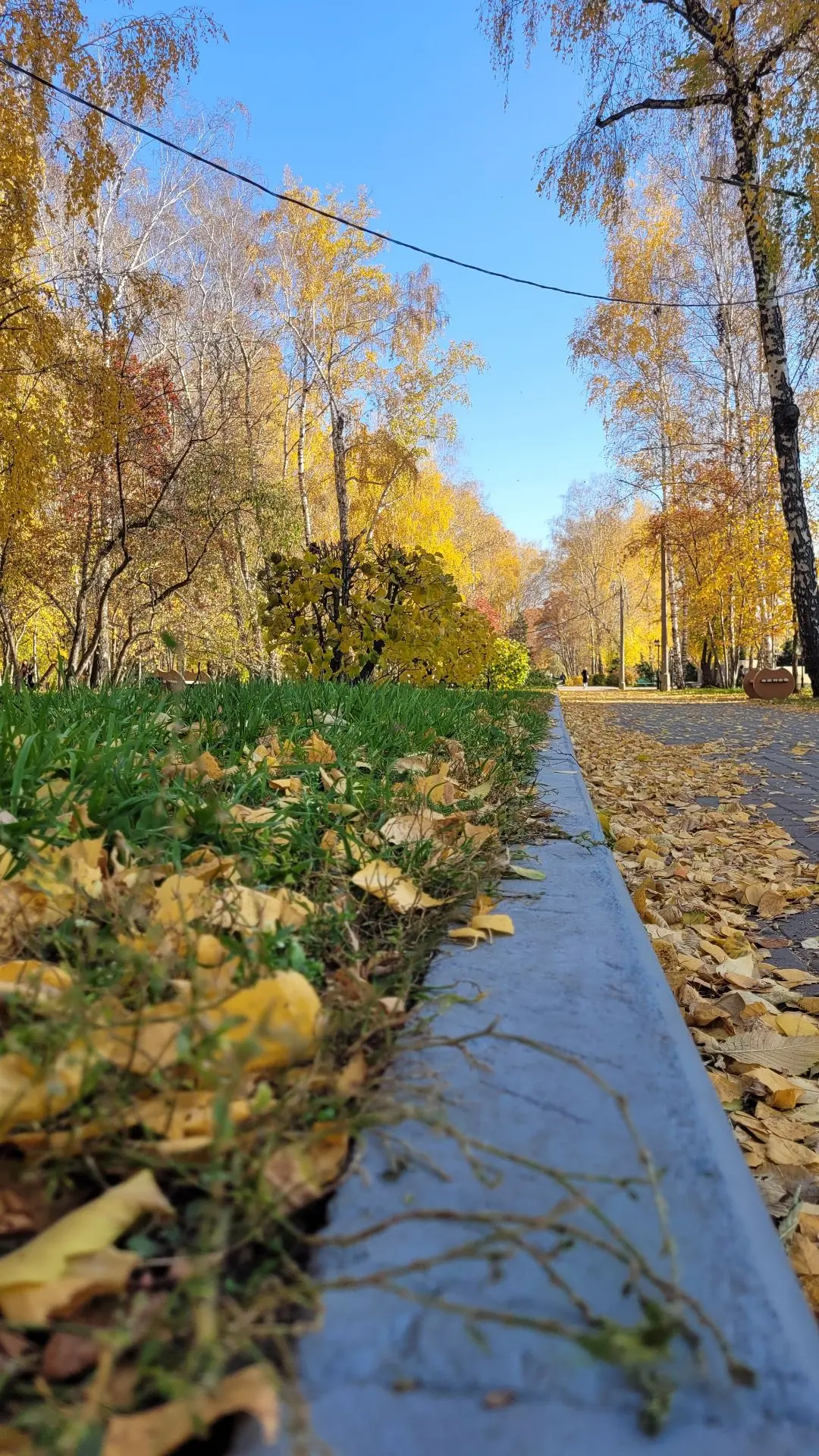 🍁 Доброе утро, дорогие жители Дзержинского района! Пятница уже здесь, и рабочая неделя...